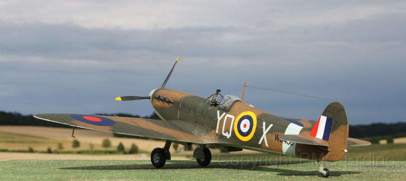 Spitfire Mk.V HobbyBoss 1-32 Lauerbach Peter 02.JPG